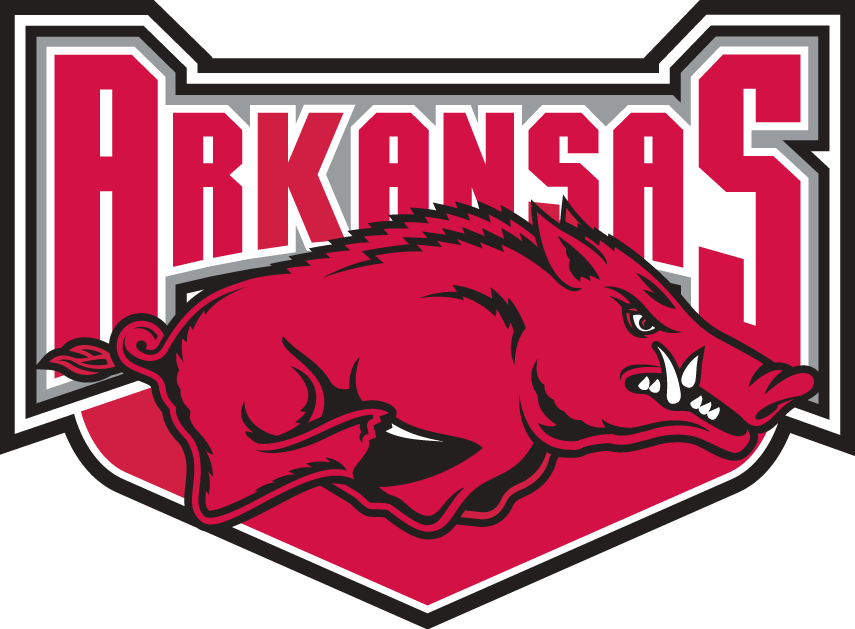 Arkansas Razorbacks 2001-2008 Alternate Logo diy DTF decal sticker